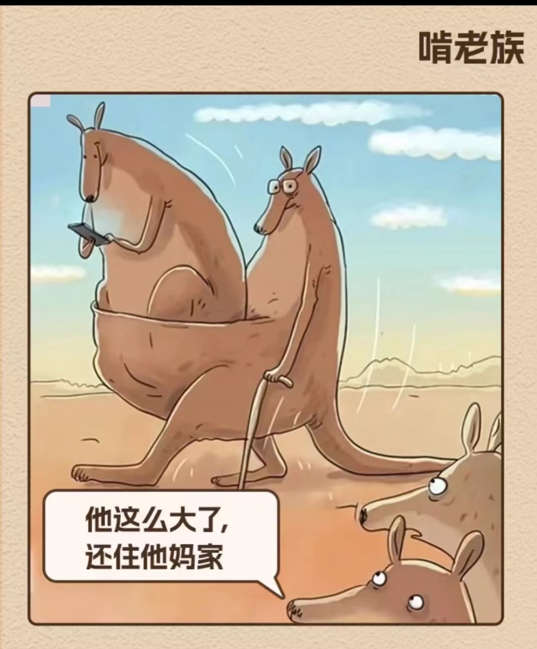 “罕见奇观：场上场下令人难以置信的趣味”的简单介绍