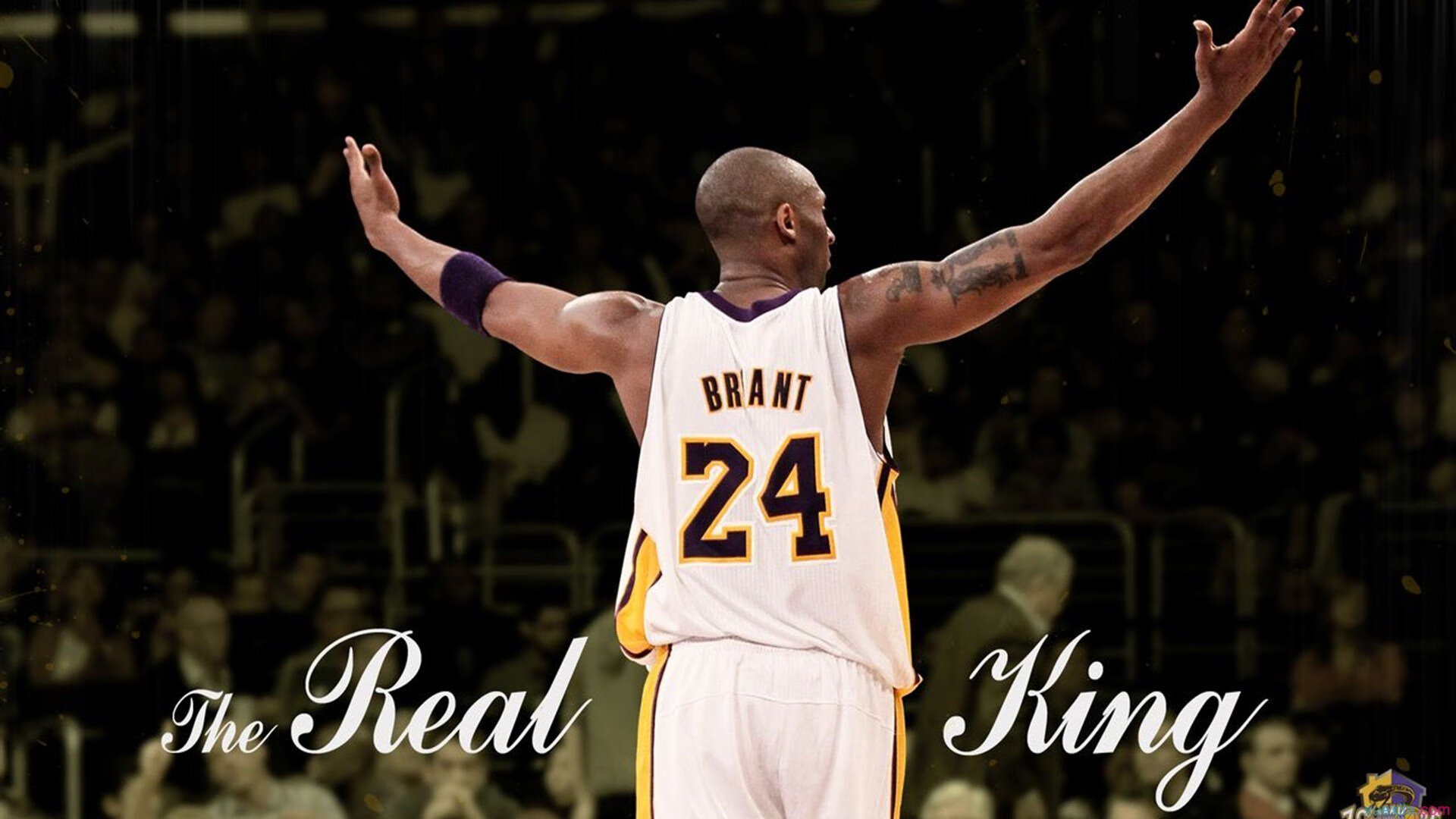 【裁判用智能系统】保证比赛公平，从未如此“透明”！，裁判系统模块